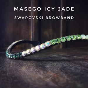 Masego - Icy Jade - otsapanta